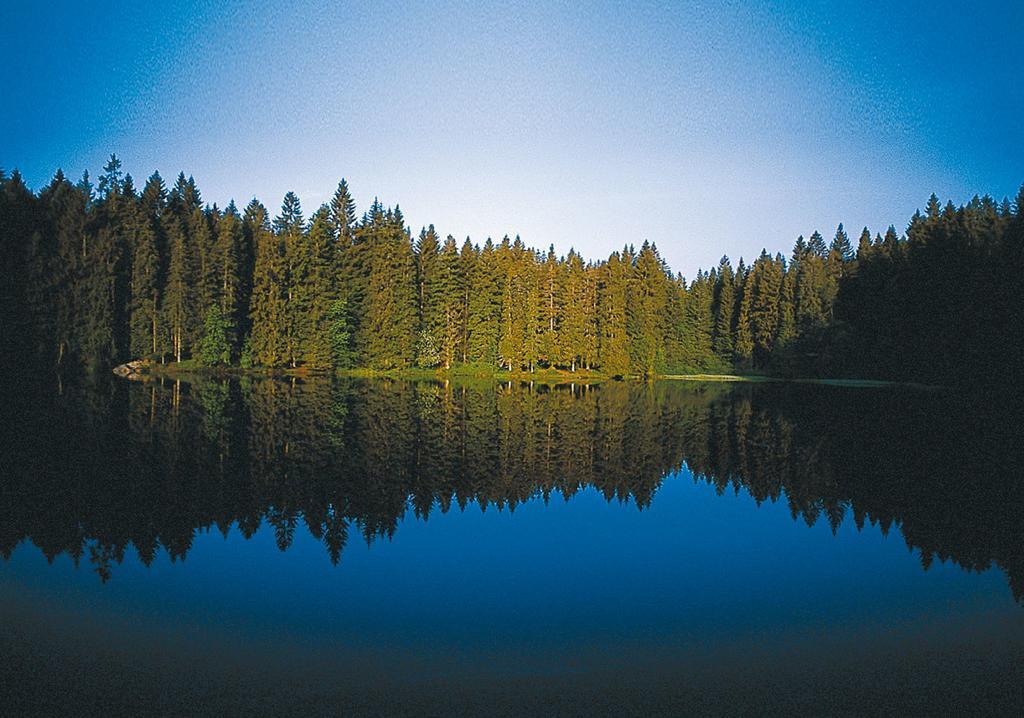 Ferien Residenz Bergfried Hotel Hinterzarten Ngoại thất bức ảnh